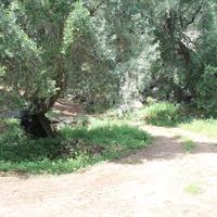 Land plot in Greece, Ionian Islands