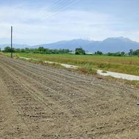 Land plot in Greece, Central Macedonia, Center, 10000 sq.m.