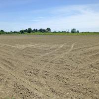 Land plot in Greece, Central Macedonia, Center, 10000 sq.m.