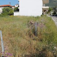 Land plot in Greece, Peloponnese, 500 sq.m.
