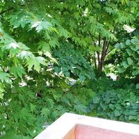 Townhouse in Greece, Central Macedonia, Center, 120 sq.m.