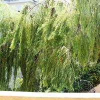 Townhouse in Greece, Central Macedonia, Center, 120 sq.m.