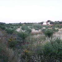 Land plot in Greece, Crete, 9491 sq.m.
