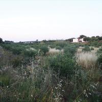 Land plot in Greece, Crete, 9491 sq.m.
