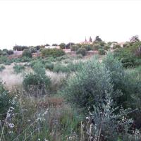 Land plot in Greece, Crete, 9491 sq.m.