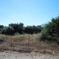 Земельный участок в Греции, Крит, 359 кв.м.