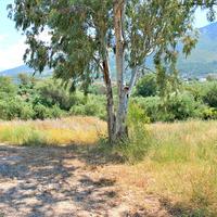 Land plot in Greece, Peloponnese, 850 sq.m.