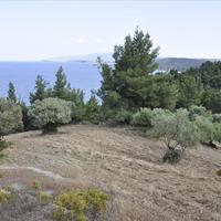 Land plot in Greece, Central Macedonia, Center, 12150 sq.m.