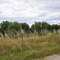 Земельный участок в Греции, Центральная Македония, Центр, 623 кв.м.