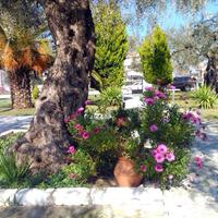 Business center in Greece, Ostrova, 300 sq.m.