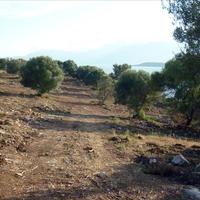 Земельный участок в Греции, Akar, 150000 кв.м.
