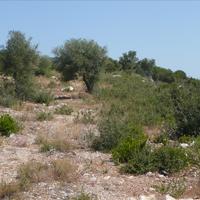 Земельный участок в Греции, Akar, 150000 кв.м.