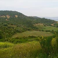 Land plot in Greece, Central Macedonia, Center, 11300 sq.m.