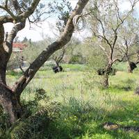 Land plot in Greece, Ionian Islands