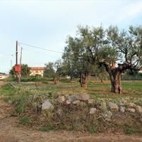 Land plot in Greece, Central Macedonia, Khal, 435 sq.m.