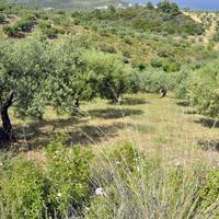 Land plot in Greece, Central Macedonia, Center, 3750 sq.m.