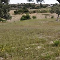 Land plot in Greece, Central Macedonia, Center, 4000 sq.m.