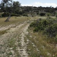 Land plot in Greece, Central Macedonia, Center, 4000 sq.m.