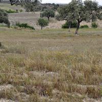 Land plot in Greece, Central Macedonia, Center, 4000 sq.m.