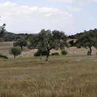 Land plot in Greece, Central Macedonia, Center, 4000 sq.m.