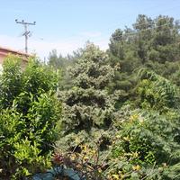 Townhouse in Greece, Ionian Islands, 240 sq.m.