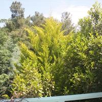 Townhouse in Greece, Ionian Islands, 240 sq.m.