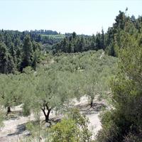 Land plot in Greece, Central Macedonia, Center, 13000 sq.m.