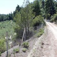 Land plot in Greece, Central Macedonia, Center, 13000 sq.m.