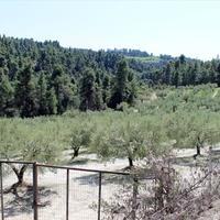 Land plot in Greece, Central Macedonia, Center, 13000 sq.m.