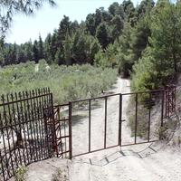 Land plot in Greece, Central Macedonia, Center, 13000 sq.m.