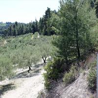 Land plot in Greece, Central Macedonia, Center, 13000 sq.m.
