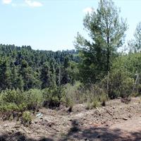 Land plot in Greece, Central Macedonia, Center, 13000 sq.m.