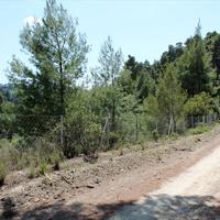 Land plot in Greece, Central Macedonia, Center, 13000 sq.m.