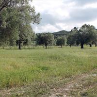 Land plot in Greece, Central Macedonia, Center, 5500 sq.m.