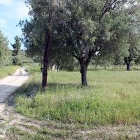 Land plot in Greece, Central Macedonia, Center, 5500 sq.m.