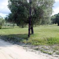 Land plot in Greece, Central Macedonia, Center, 5500 sq.m.