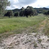 Land plot in Greece, Central Macedonia, Center, 5500 sq.m.