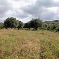 Land plot in Greece, Central Macedonia, Center, 2700 sq.m.