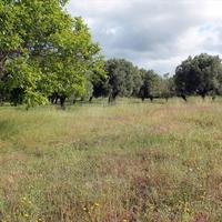 Land plot in Greece, Central Macedonia, Center, 2700 sq.m.