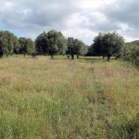 Land plot in Greece, Central Macedonia, Center, 2700 sq.m.