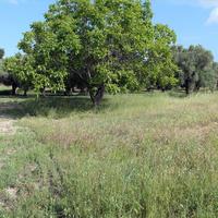 Land plot in Greece, Central Macedonia, Center, 2700 sq.m.