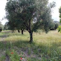 Land plot in Greece, Central Macedonia, Center, 2700 sq.m.