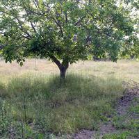 Land plot in Greece, Central Macedonia, Center, 2700 sq.m.