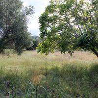 Land plot in Greece, Central Macedonia, Center, 2700 sq.m.