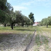 Land plot in Greece, Central Macedonia, Center, 2900 sq.m.