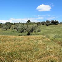 Земельный участок в Греции, Центральная Македония, Центр, 8932 кв.м.