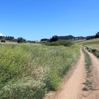 Земельный участок в Греции, Центральная Македония, Центр, 8932 кв.м.