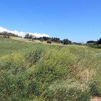 Земельный участок в Греции, Центральная Македония, Центр, 8932 кв.м.