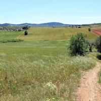 Земельный участок в Греции, Центральная Македония, Центр, 8932 кв.м.