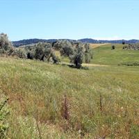 Земельный участок в Греции, Центральная Македония, Центр, 8932 кв.м.